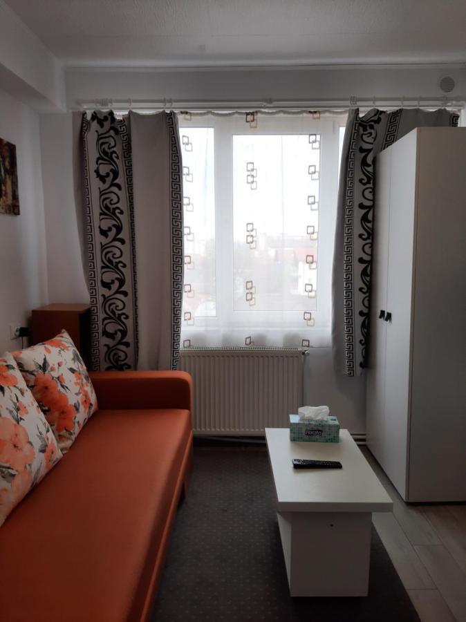 Arti Studio Apartment Brasov Luaran gambar